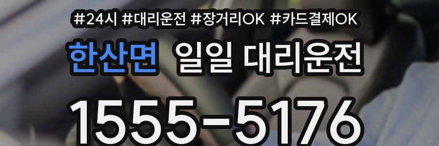 한산면 일일 대리운전
