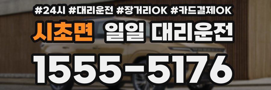 시초면 일일 대리운전