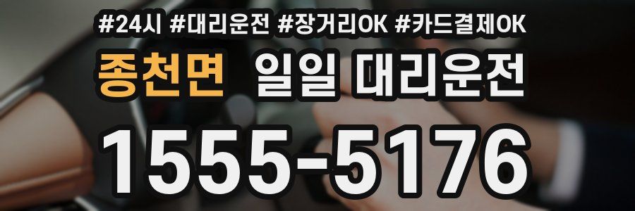 종천면 일일 대리운전