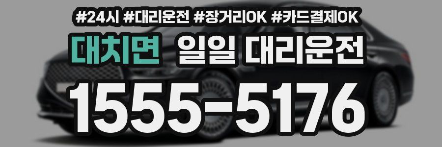 대치면 일일 대리운전