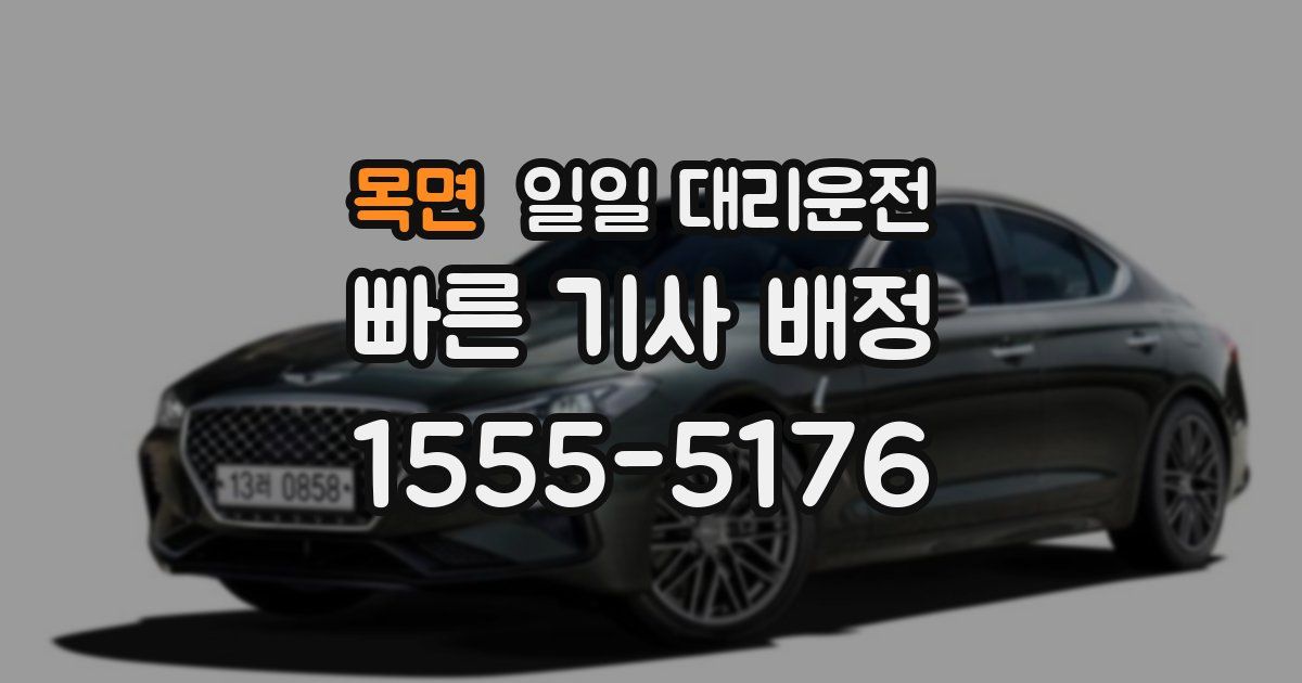목면 일일 대리운전
