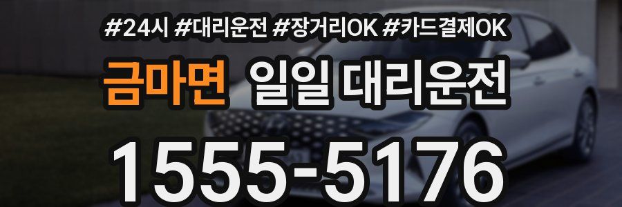 금마면 일일 대리운전
