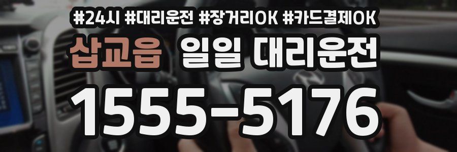 삽교읍 일일 대리운전