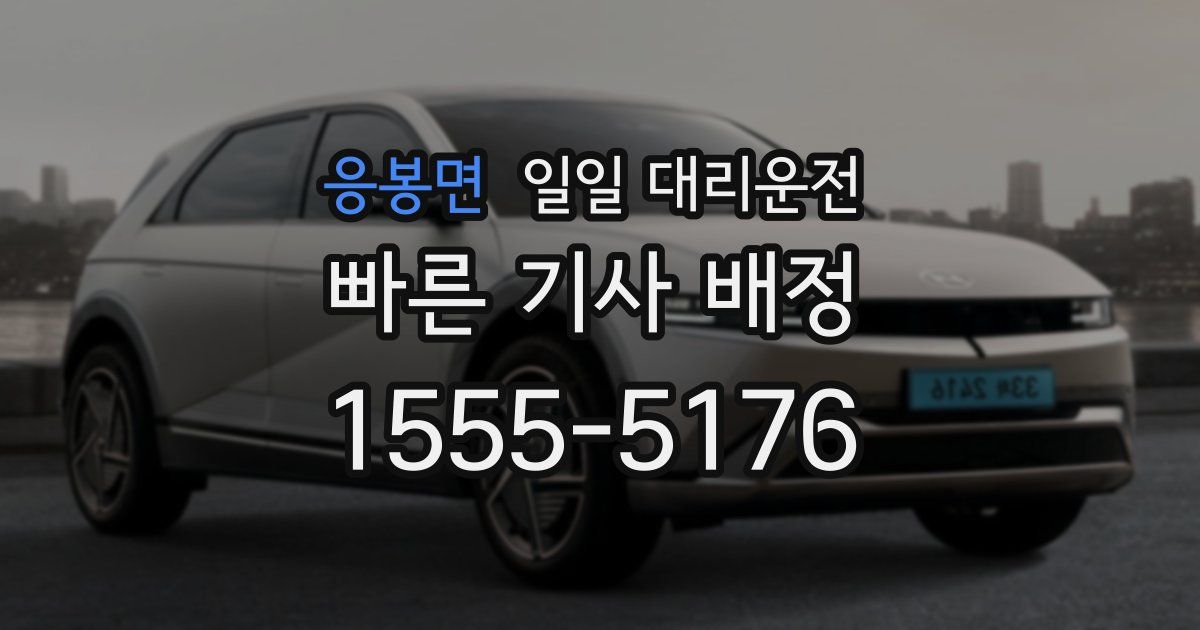 응봉면 일일 대리운전
