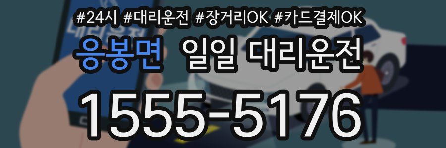 응봉면 일일 대리운전