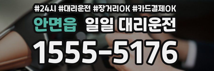 안면읍 일일 대리운전