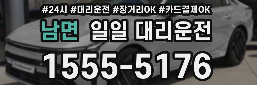남면 일일 대리운전