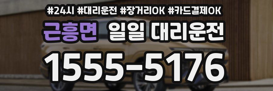 근흥면 일일 대리운전