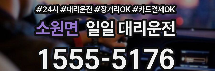 소원면 일일 대리운전