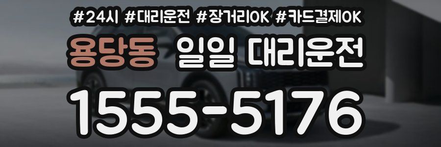 용당동 일일 대리운전