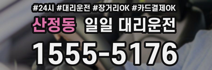 산정동 일일 대리운전
