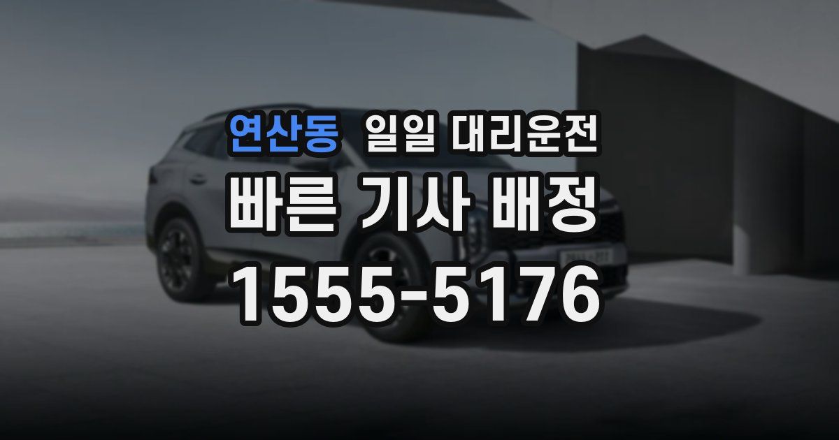 연산동 일일 대리운전
