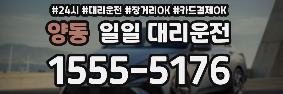 양동 일일 대리운전