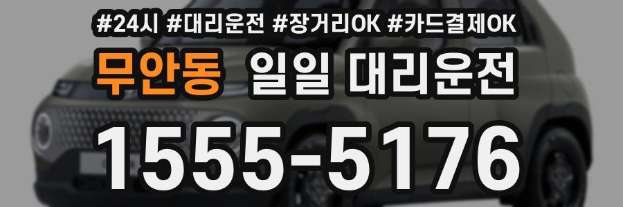 무안동 일일 대리운전