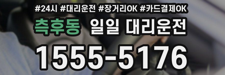 측후동 일일 대리운전
