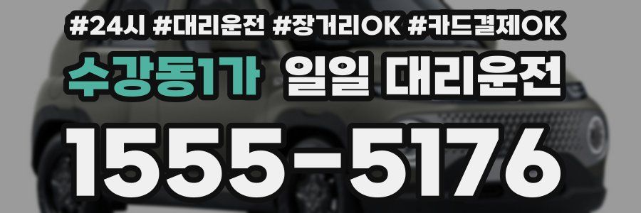 수강동1가 일일 대리운전
