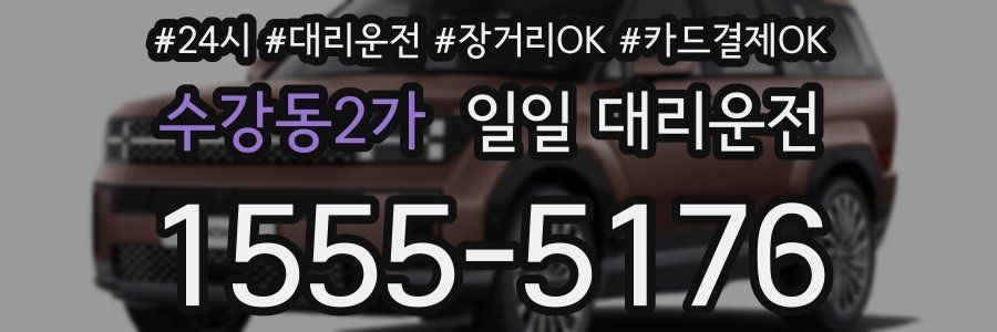 수강동2가 일일 대리운전