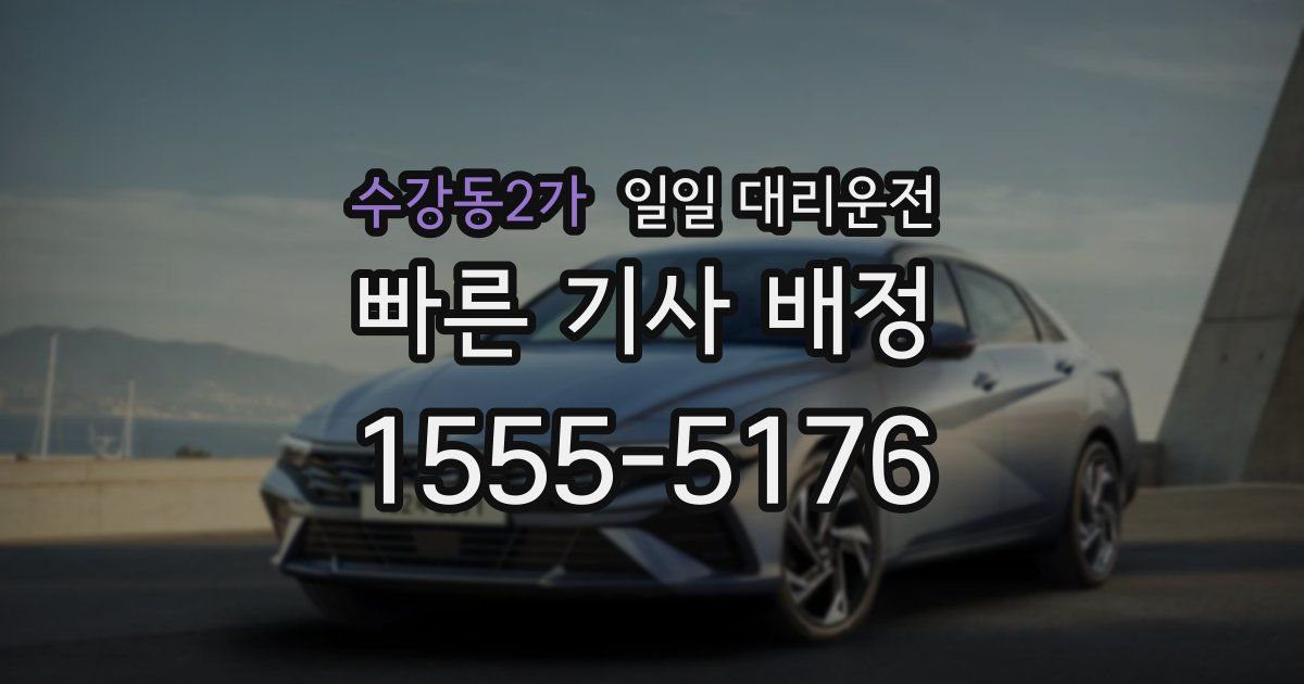 수강동2가 일일 대리운전