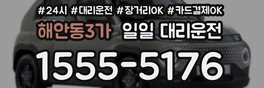 해안동3가 일일 대리운전