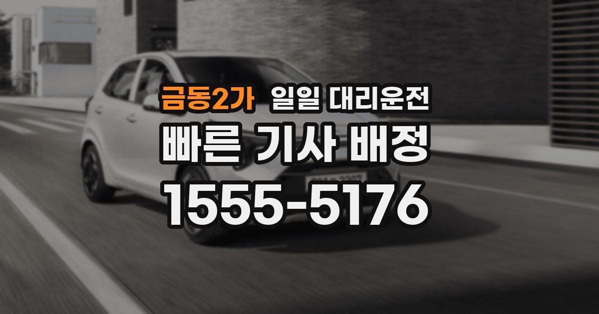 금동2가 일일 대리운전