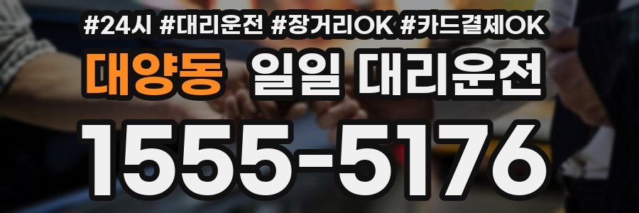 대양동 일일 대리운전