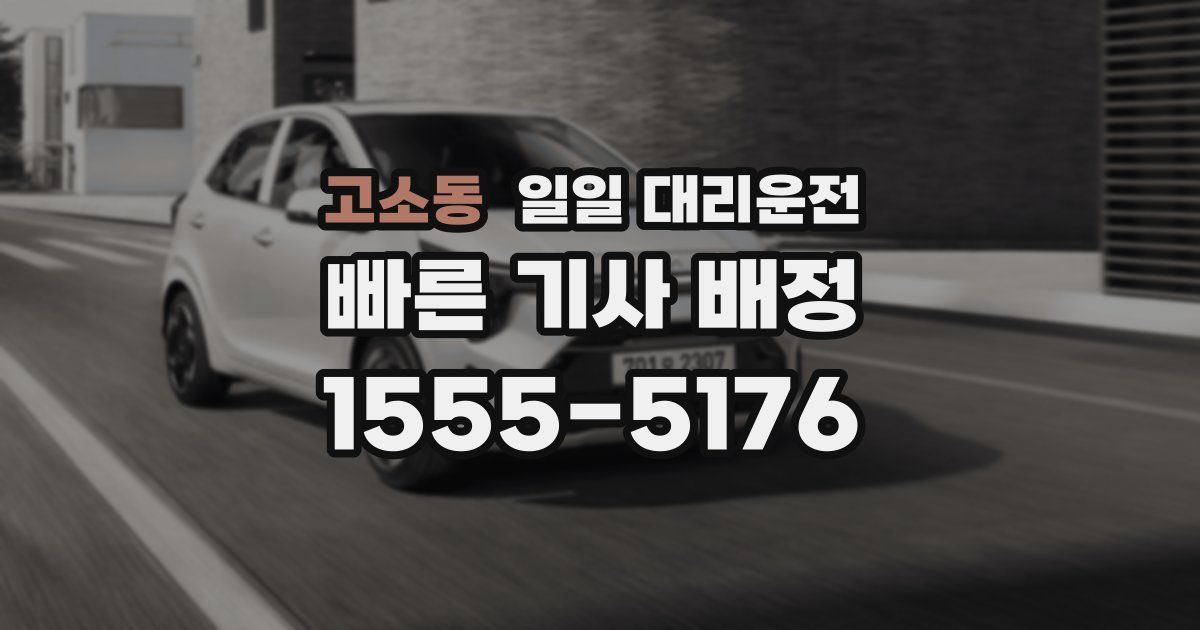 고소동 일일 대리운전
