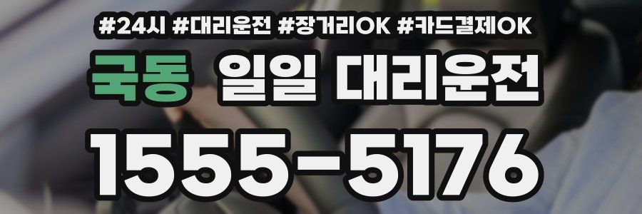 국동 일일 대리운전