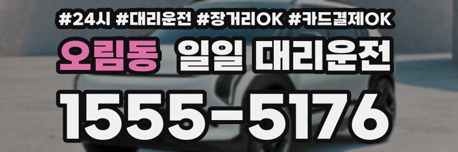 오림동 일일 대리운전