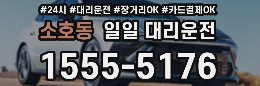 소호동 일일 대리운전