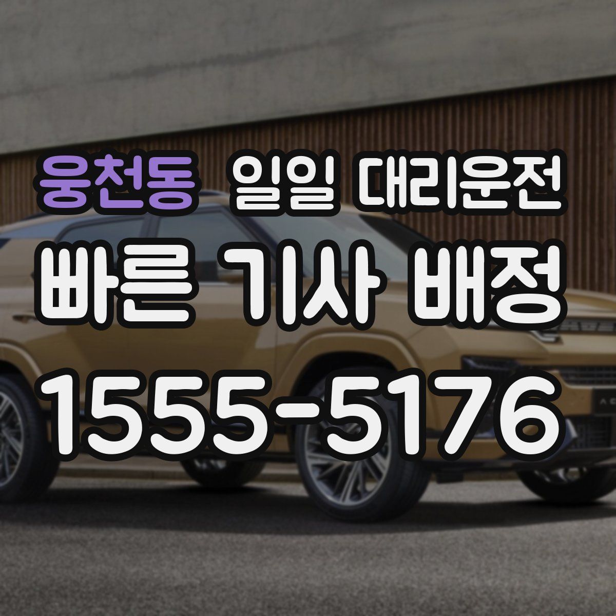 웅천동 일일 대리운전