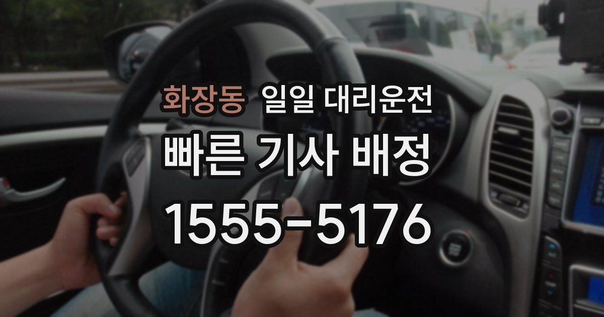 화장동 일일 대리운전