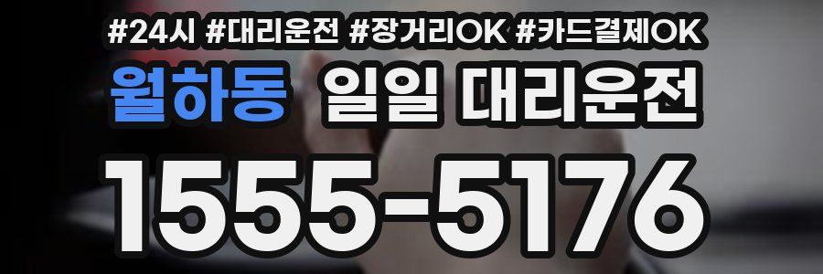 월하동 일일 대리운전
