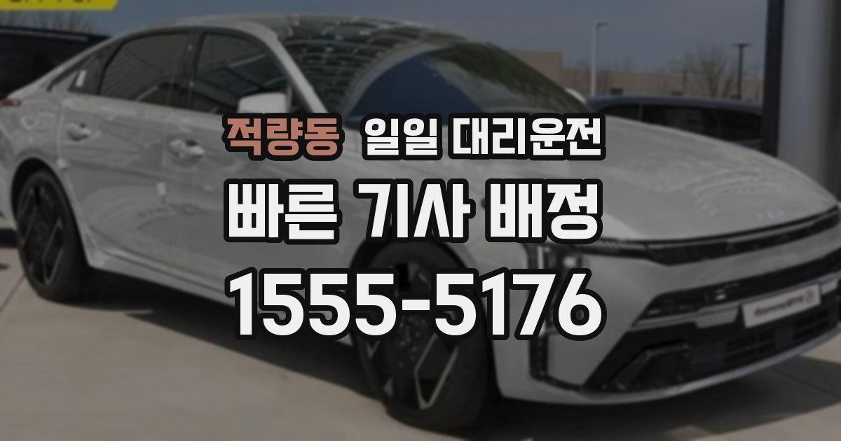 적량동 일일 대리운전