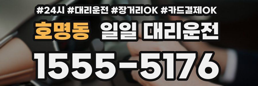 호명동 일일 대리운전