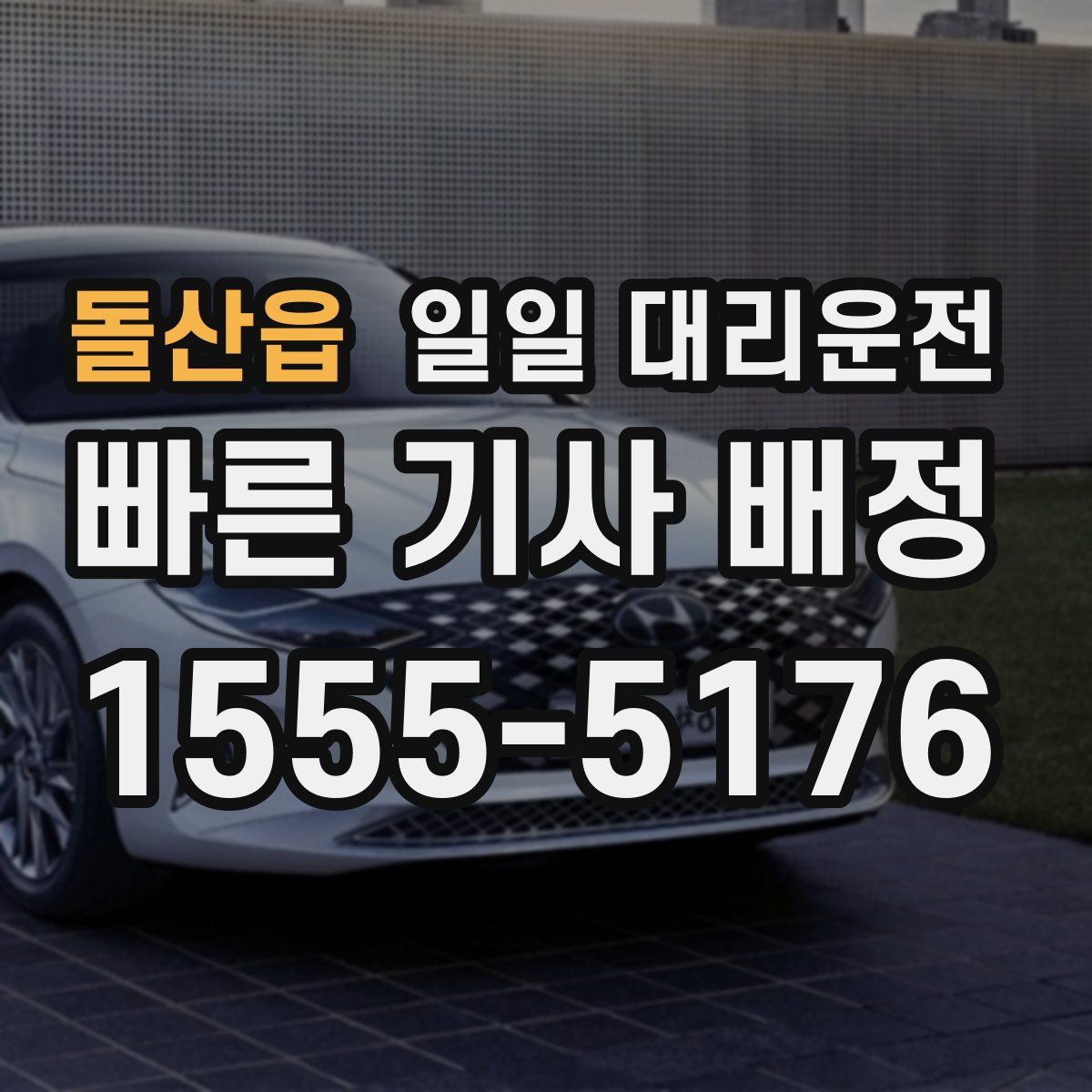 돌산읍 일일 대리운전