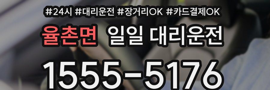 율촌면 일일 대리운전