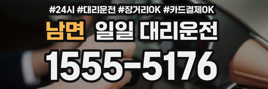 남면 일일 대리운전