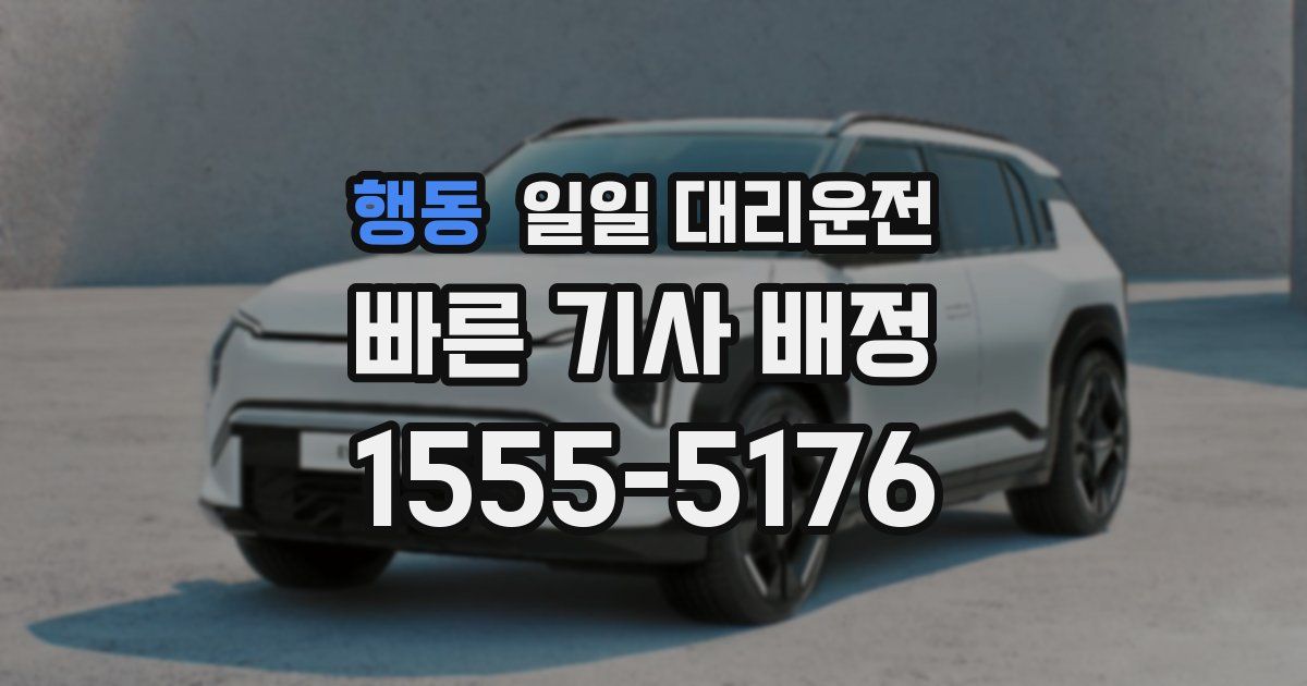 행동 일일 대리운전