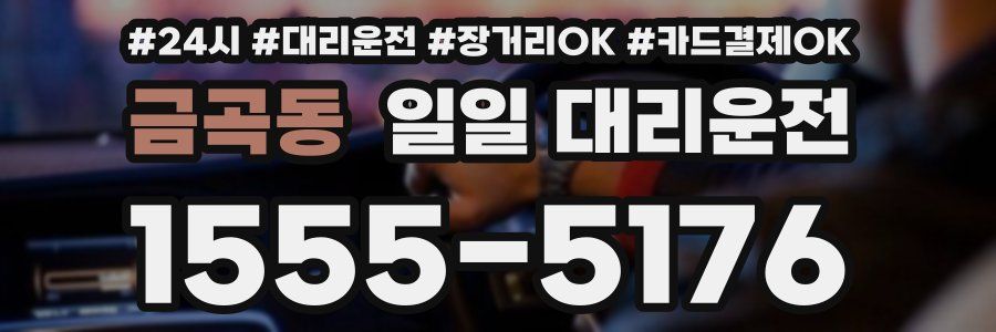 금곡동 일일 대리운전