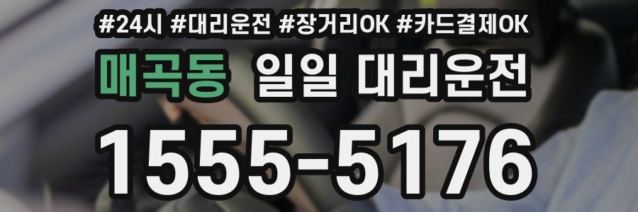 매곡동 일일 대리운전