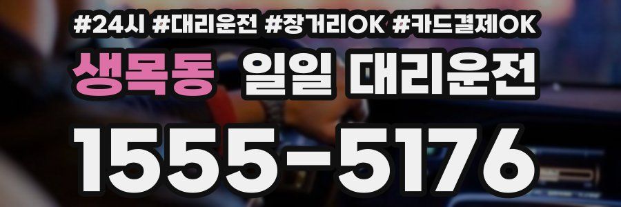 생목동 일일 대리운전