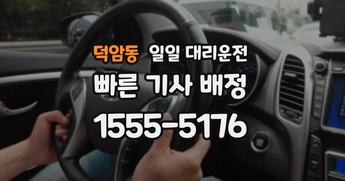 덕암동 일일 대리운전