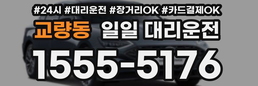 교량동 일일 대리운전