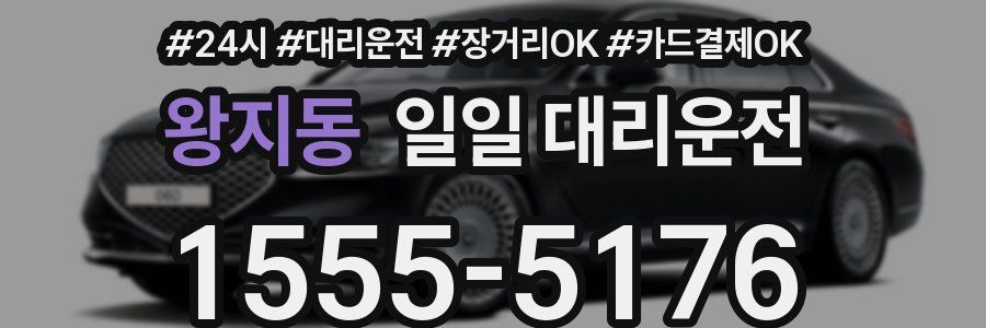 왕지동 일일 대리운전