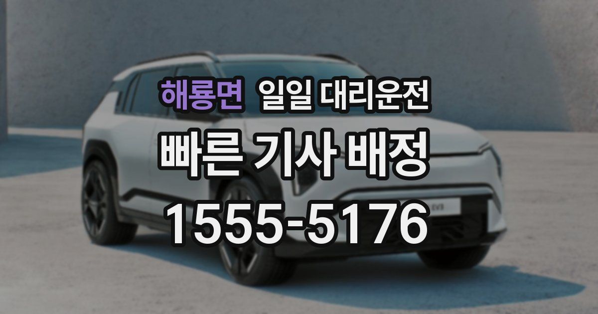 해룡면 일일 대리운전