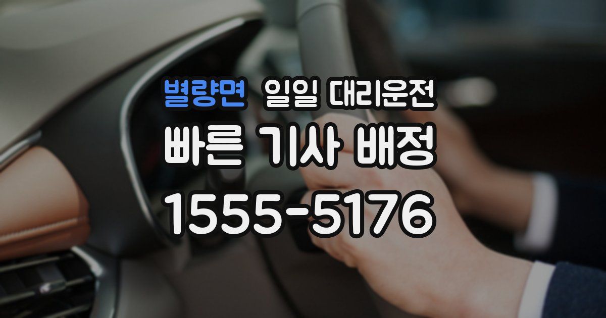 별량면 일일 대리운전
