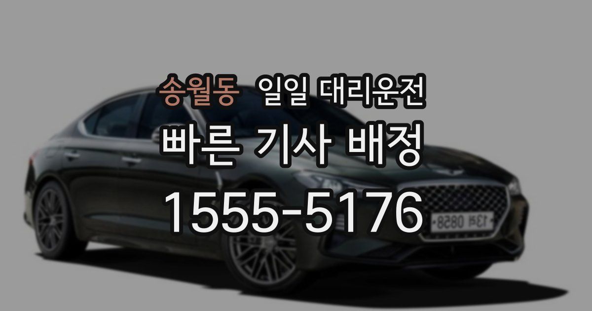 송월동 일일 대리운전