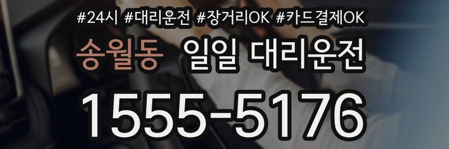 송월동 일일 대리운전