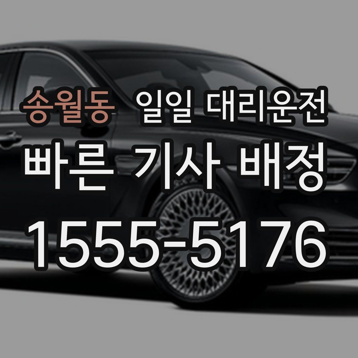 송월동 일일 대리운전