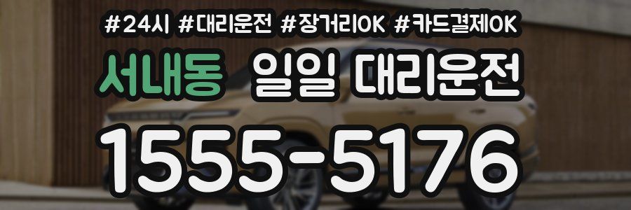 서내동 일일 대리운전